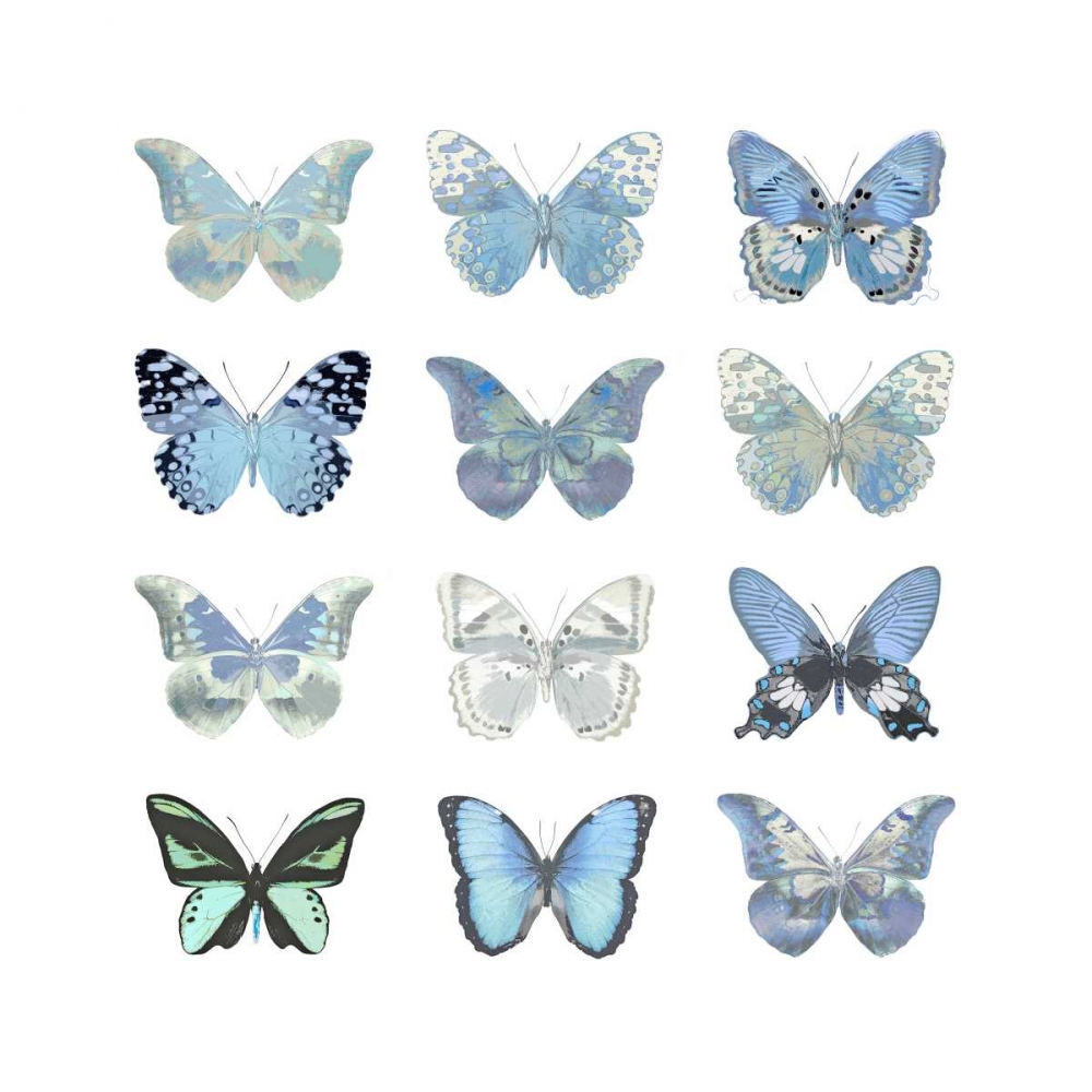 Butterfly Study in Blue I art print by Julia Bosco for $57.95 CAD