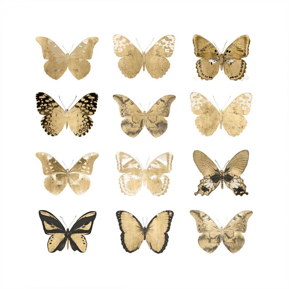 Butterfly Study in Gold II art print by Julia Bosco for $57.95 CAD