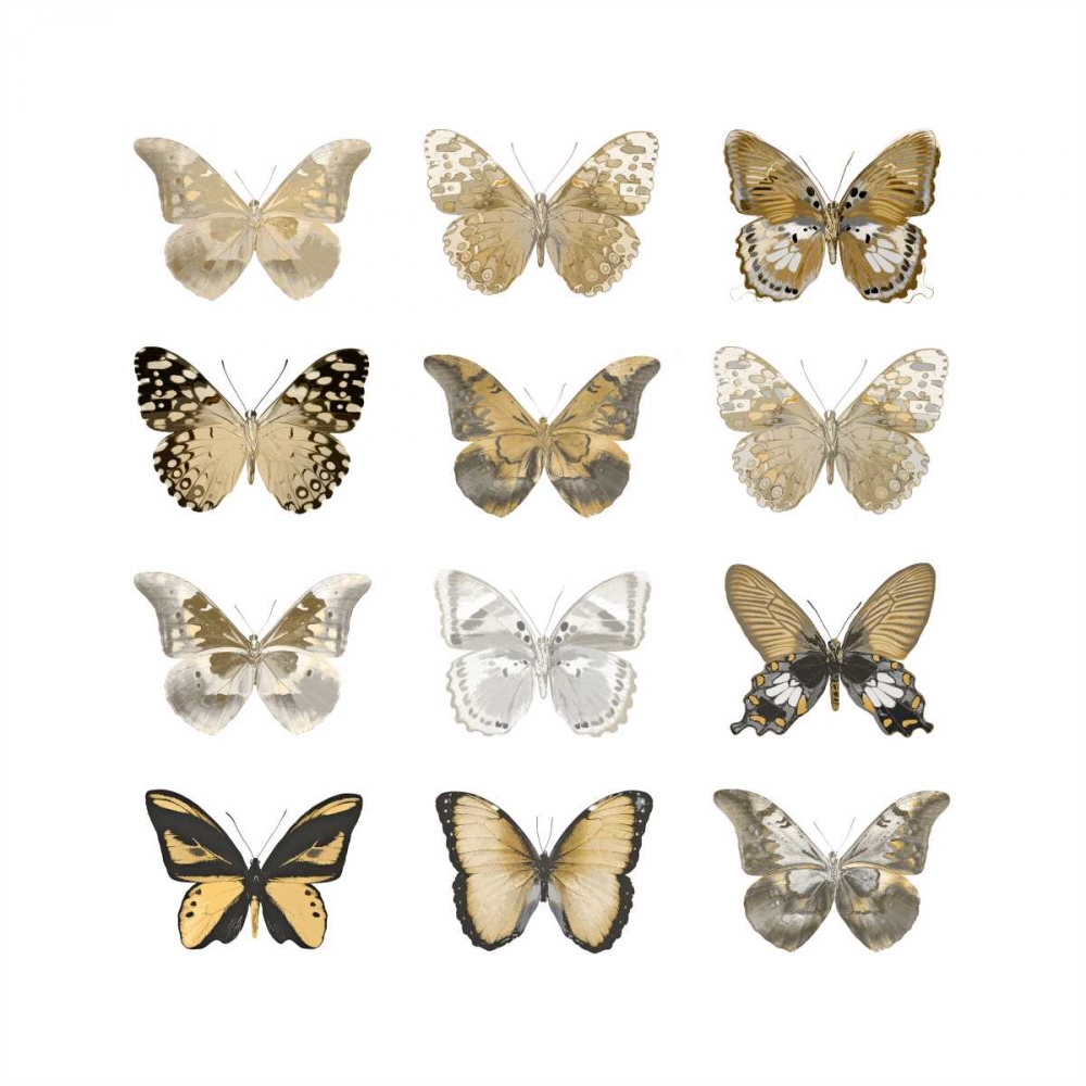 Butterfly Study in Gold III art print by Julia Bosco for $57.95 CAD