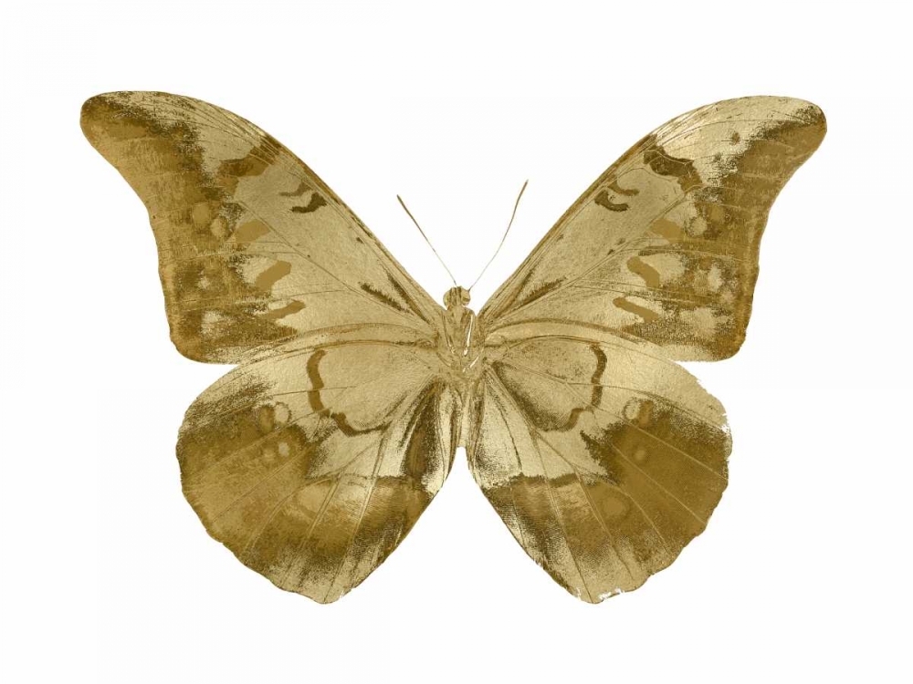 Golden Butterfly III art print by Julia Bosco for $57.95 CAD