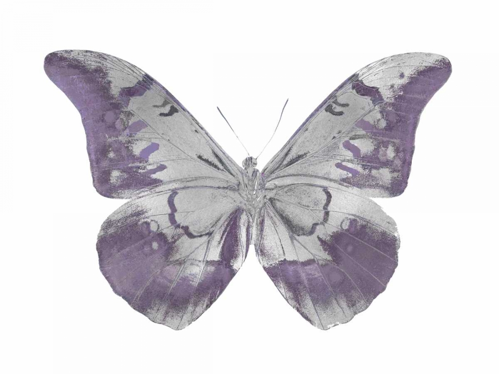 Butterfly in Amethyst I art print by Julia Bosco for $57.95 CAD