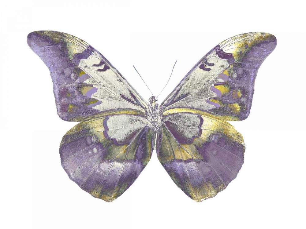 Butterfly in Teal and Blue art print by Julia Bosco for $57.95 CAD