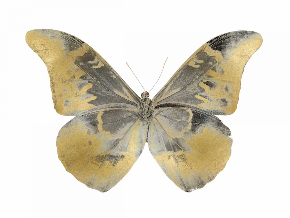 Golden Butterfly II art print by Julia Bosco for $57.95 CAD