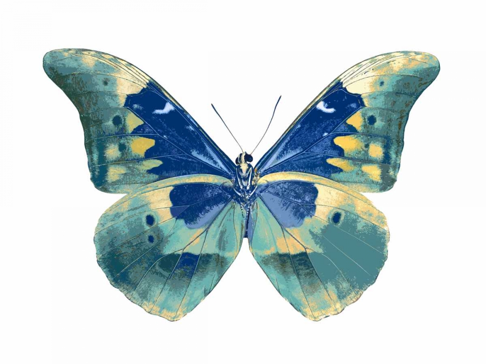 Butterfly in Aqua I art print by Julia Bosco for $57.95 CAD