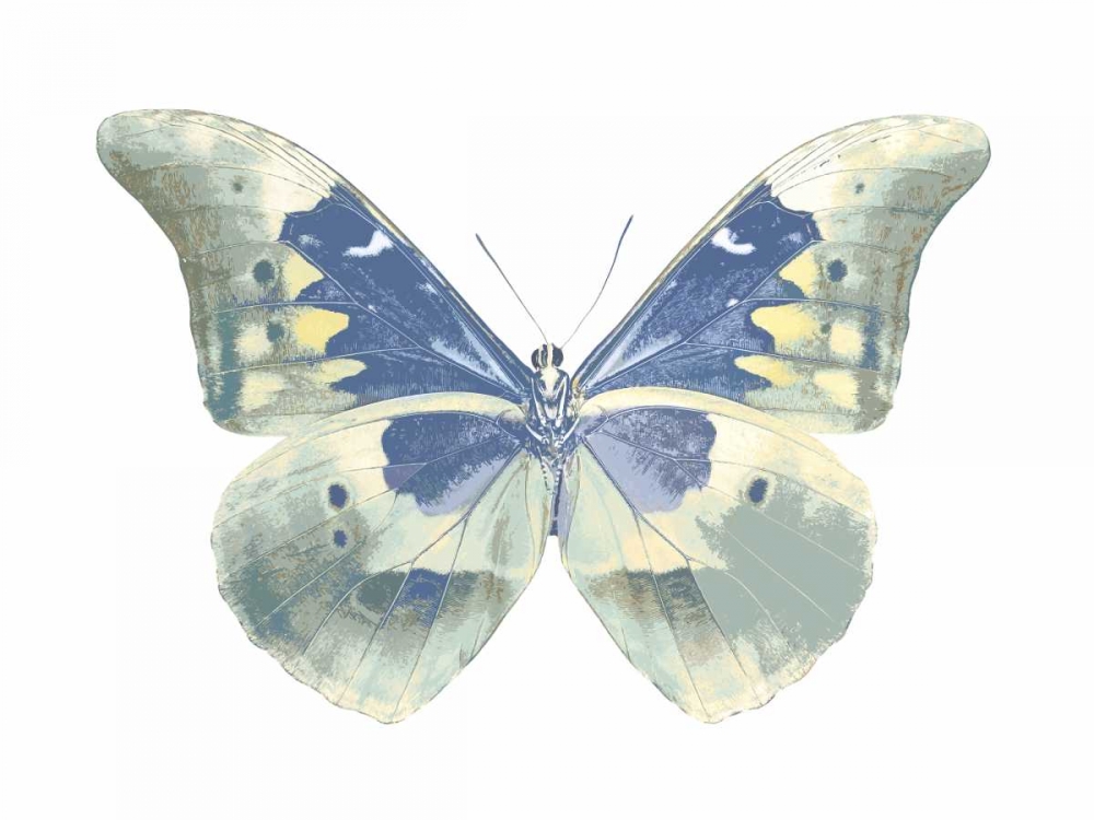 Butterfly in Aqua II art print by Julia Bosco for $57.95 CAD