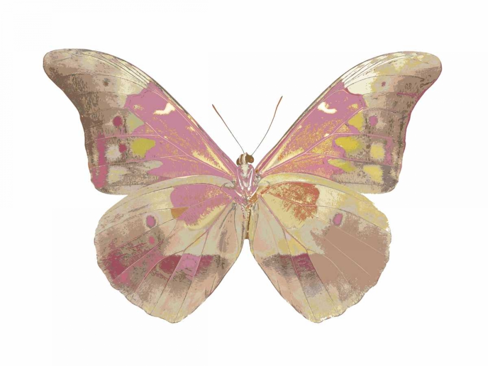 Butterfly in Grey IV art print by Julia Bosco for $57.95 CAD