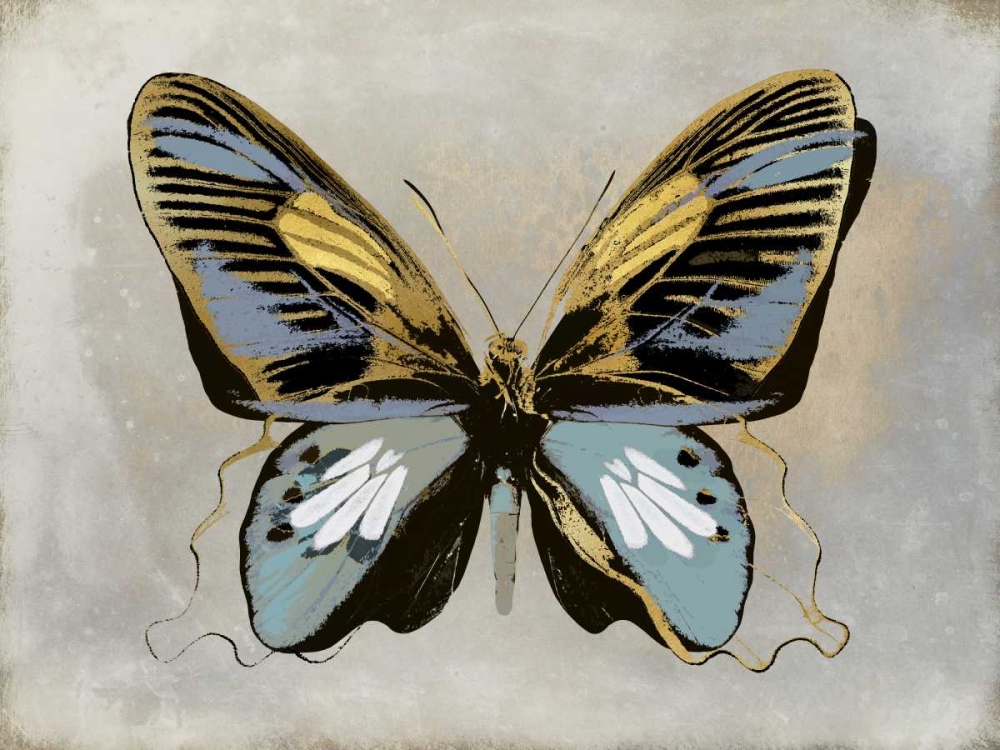 Butterfly Study II art print by Julia Bosco for $57.95 CAD