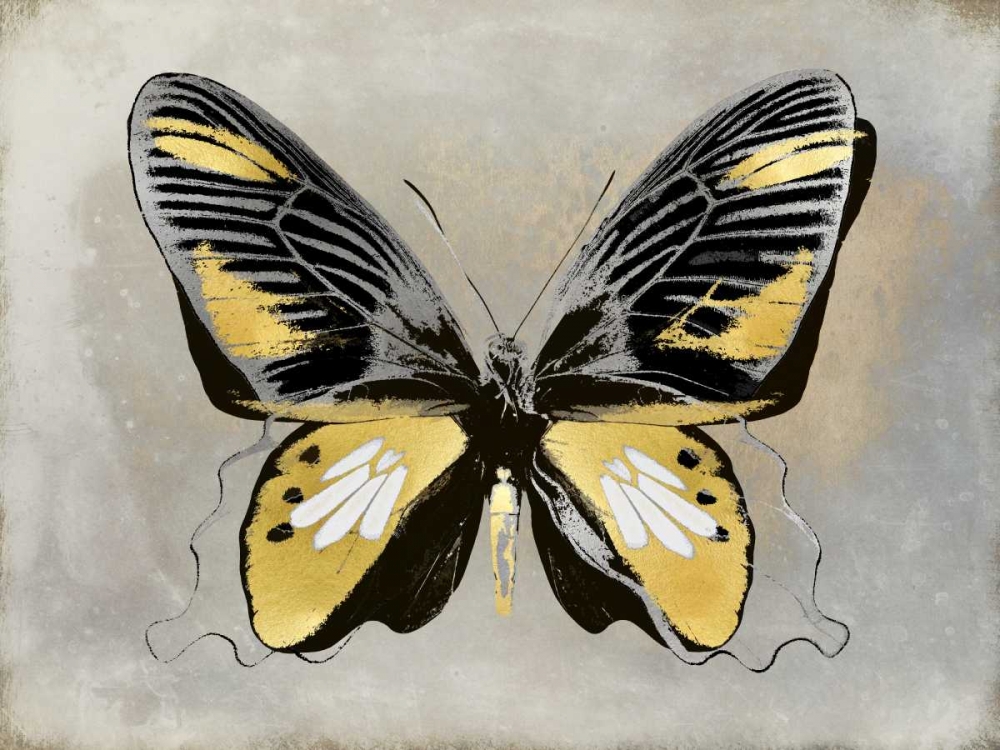 Butterfly Study III art print by Julia Bosco for $57.95 CAD