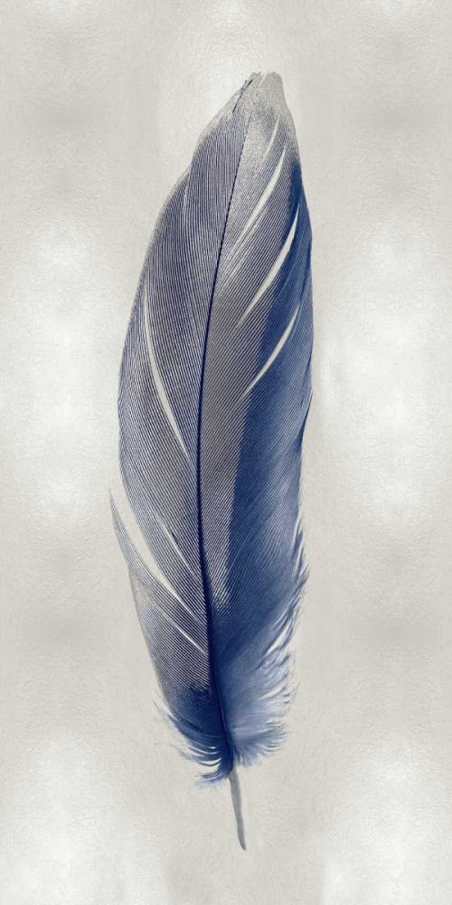 Blue Feather on Silver II art print by Julia Bosco for $57.95 CAD