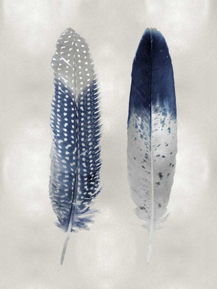 Blue Feather Pair on Silver art print by Julia Bosco for $57.95 CAD