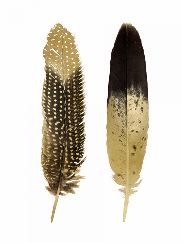 Gold Feather Pair art print by Julia Bosco for $57.95 CAD