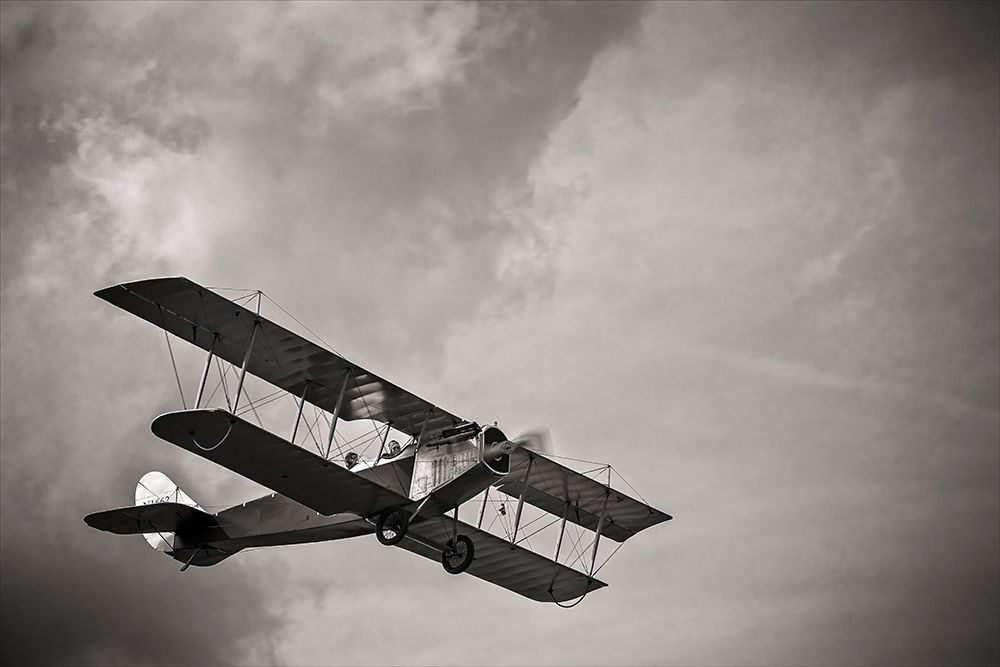 Jenny art print by John Slemp for $57.95 CAD