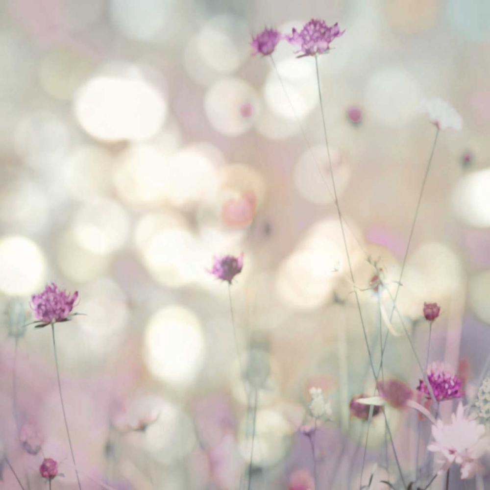 Floral Meadow I art print by Kate Carrigan for $57.95 CAD