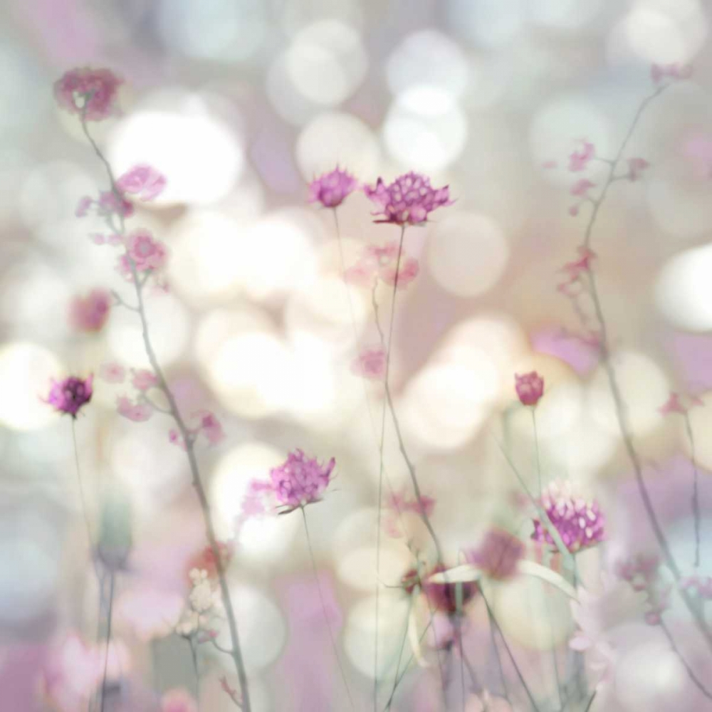 Floral Meadow II art print by Kate Carrigan for $57.95 CAD