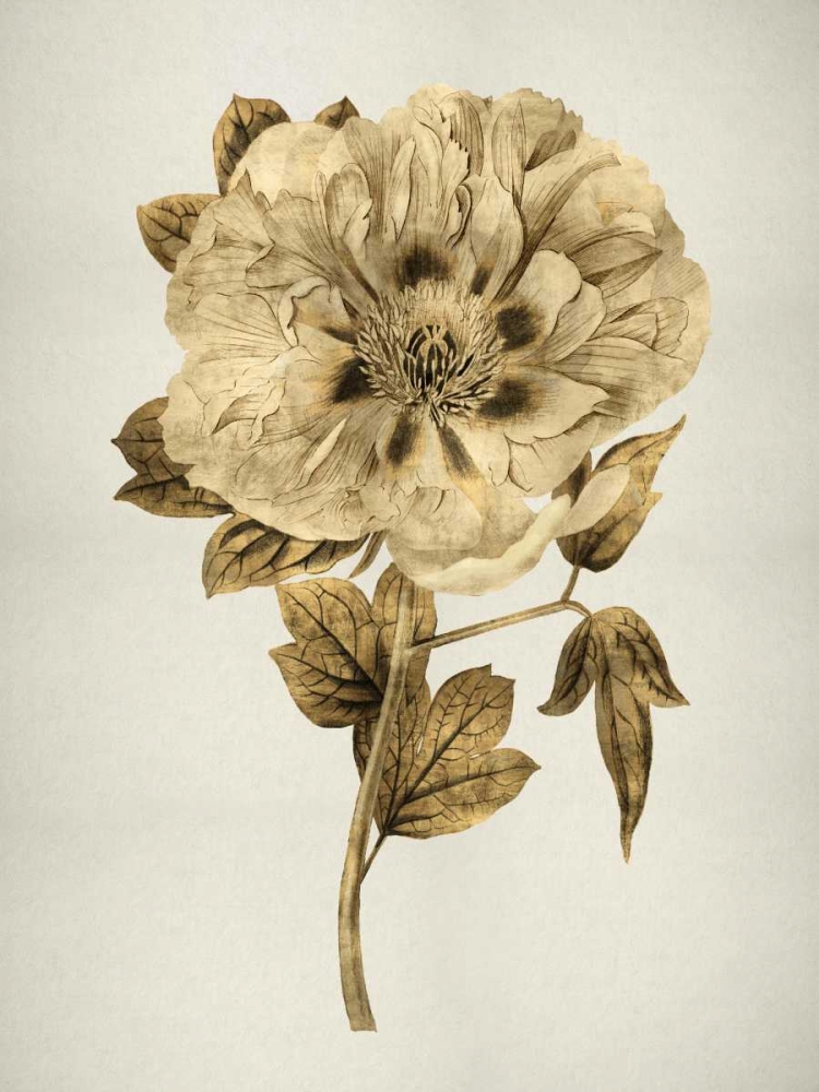 Gold Tulip I art print by Kate Bennett for $57.95 CAD