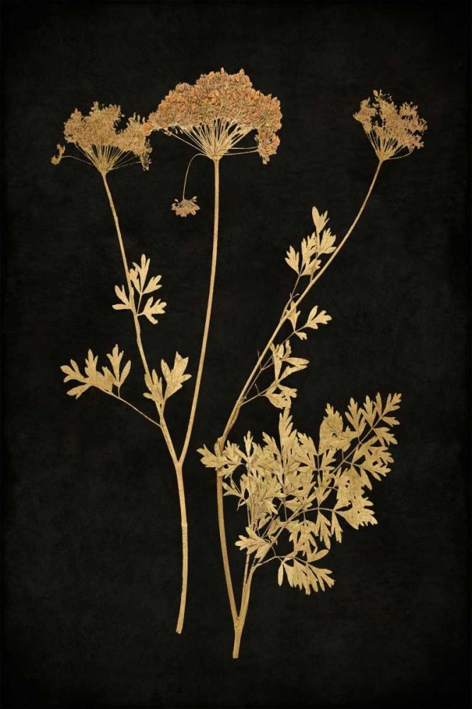 Golden Nature III art print by Kate Bennett for $57.95 CAD