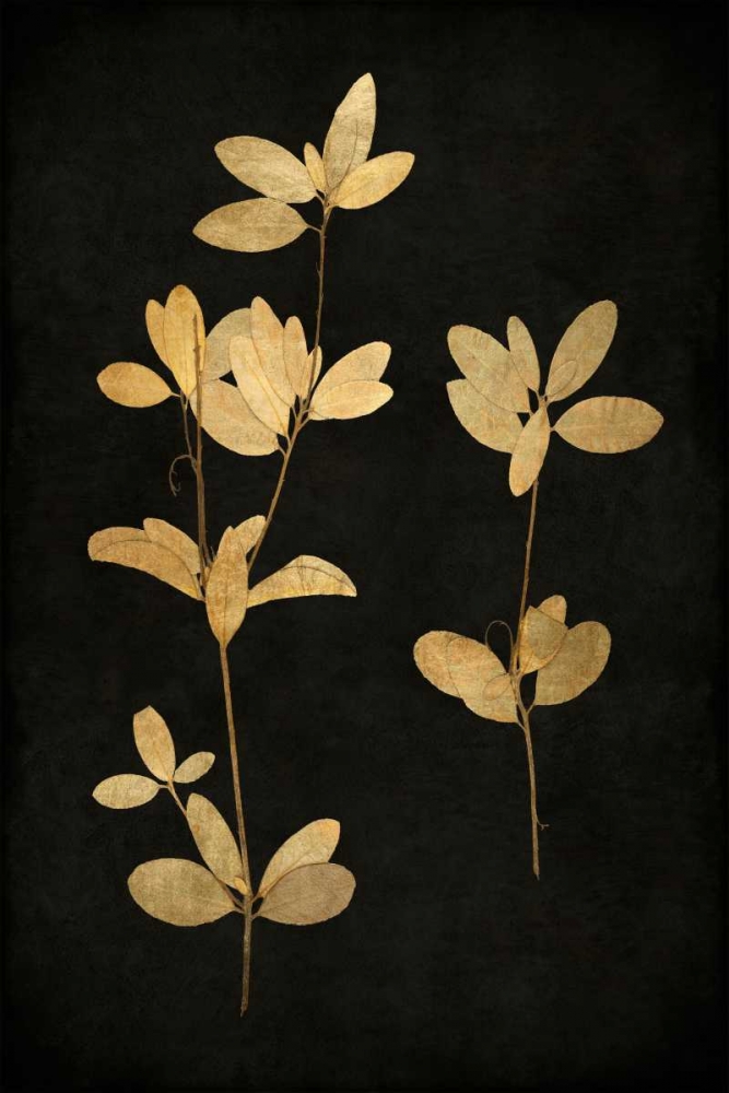 Golden Nature IV art print by Kate Bennett for $57.95 CAD