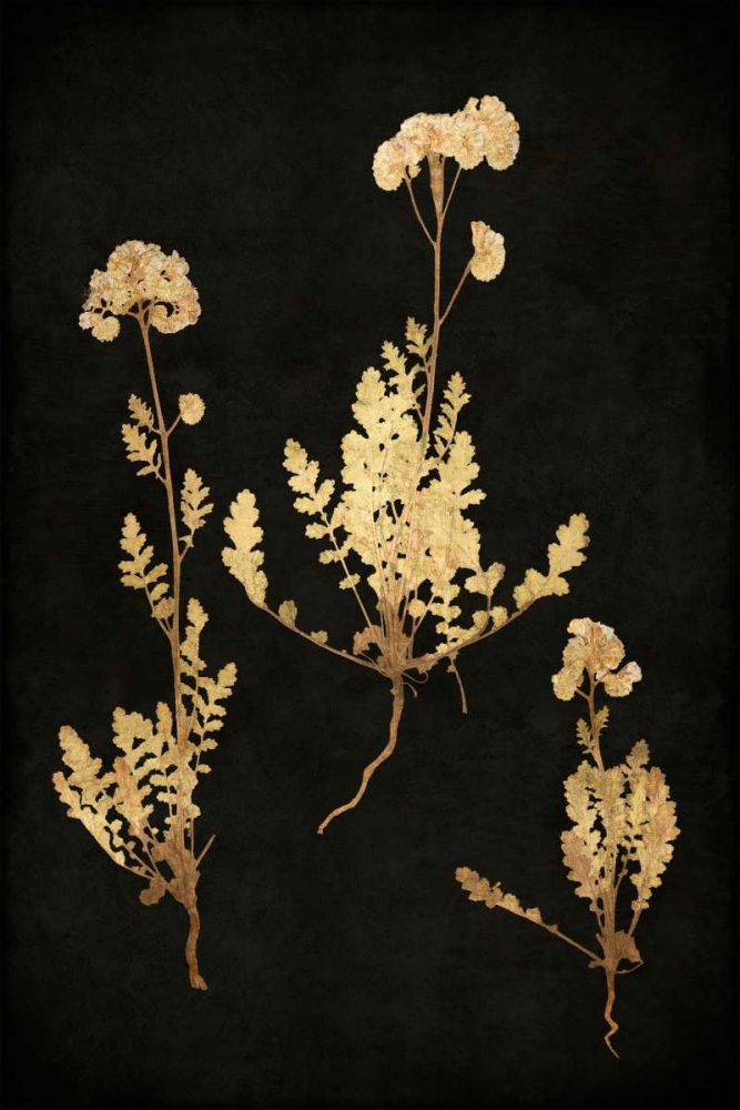 Golden Nature V art print by Kate Bennett for $57.95 CAD