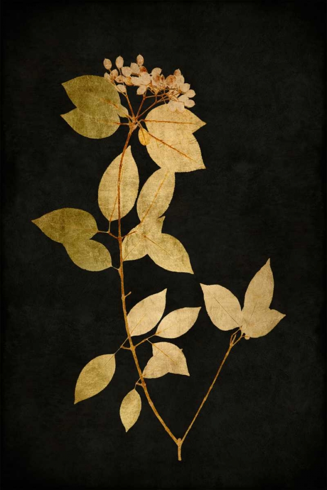 Golden Nature VI art print by Kate Bennett for $57.95 CAD