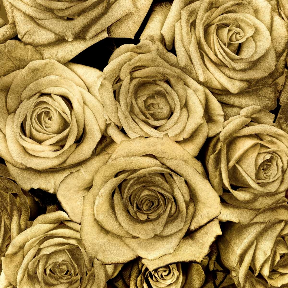 Gold Roses art print by Kate Bennett for $57.95 CAD