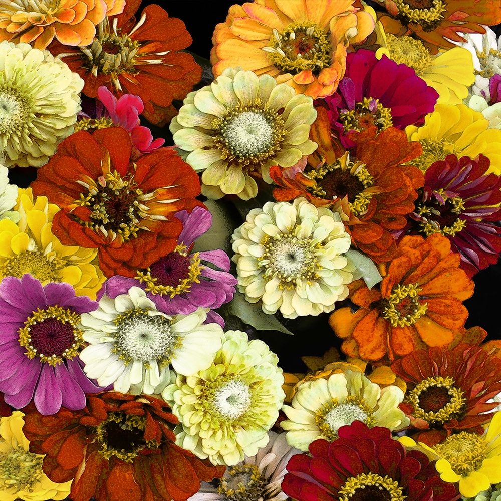 Floral Abundance I art print by Kate Bennett for $57.95 CAD