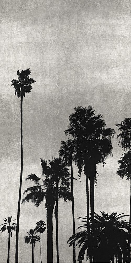 Palm Silhouette on Silver II art print by Kate Bennett for $57.95 CAD