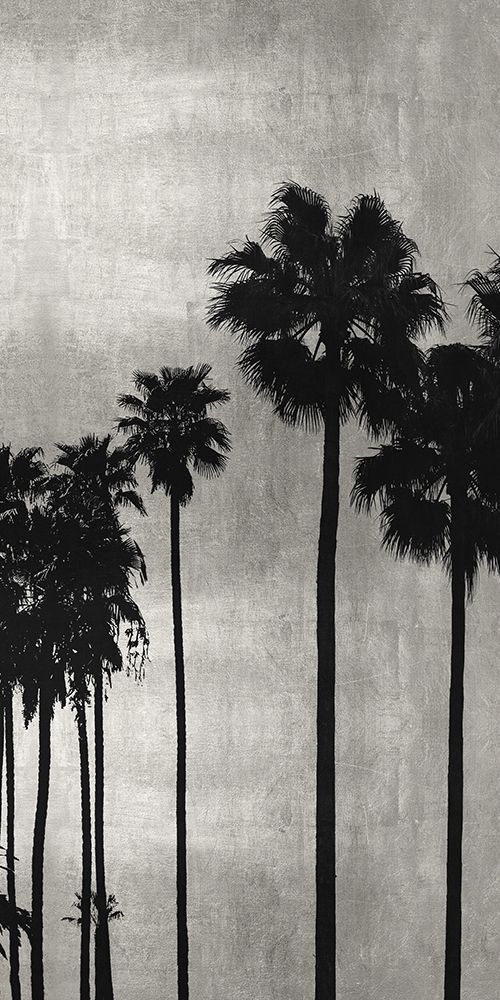 Palm Silhouette on Silver III art print by Kate Bennett for $57.95 CAD