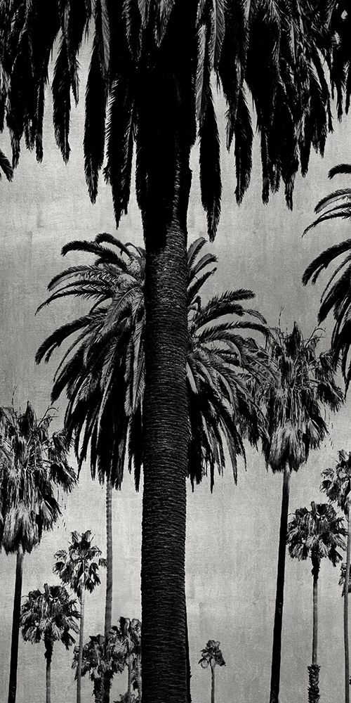 Palms with Silver I art print by Kate Bennett for $57.95 CAD