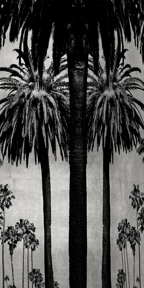Palms with Silver II art print by Kate Bennett for $57.95 CAD