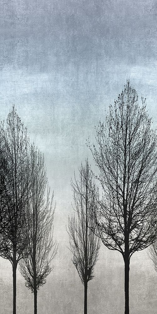 Tree Silhouette II art print by Kate Bennett for $57.95 CAD