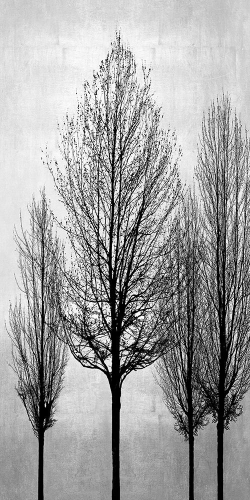 Trees on Silver Panel II art print by Kate Bennett for $57.95 CAD