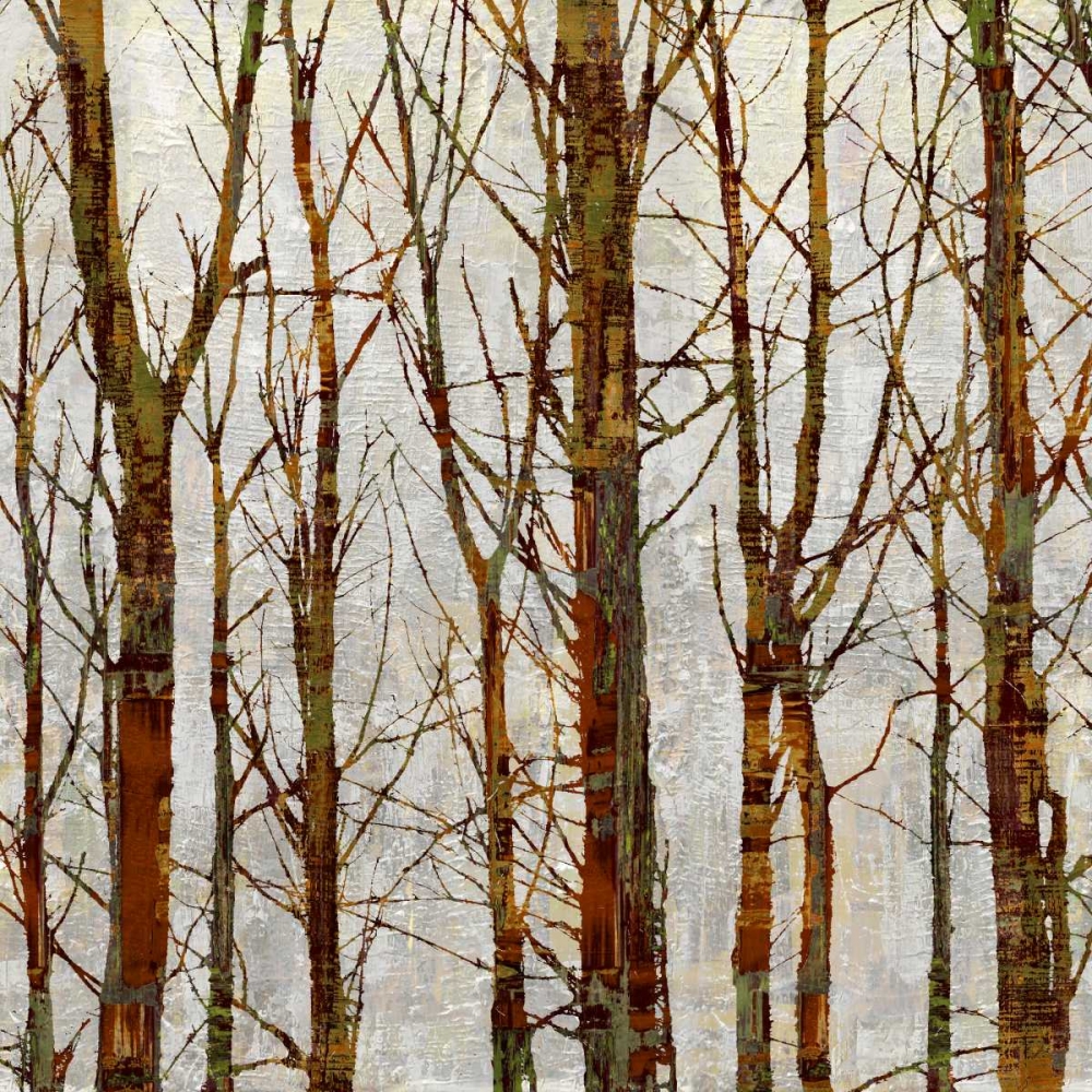 Through The Trees II art print by Kyle Webster for $57.95 CAD