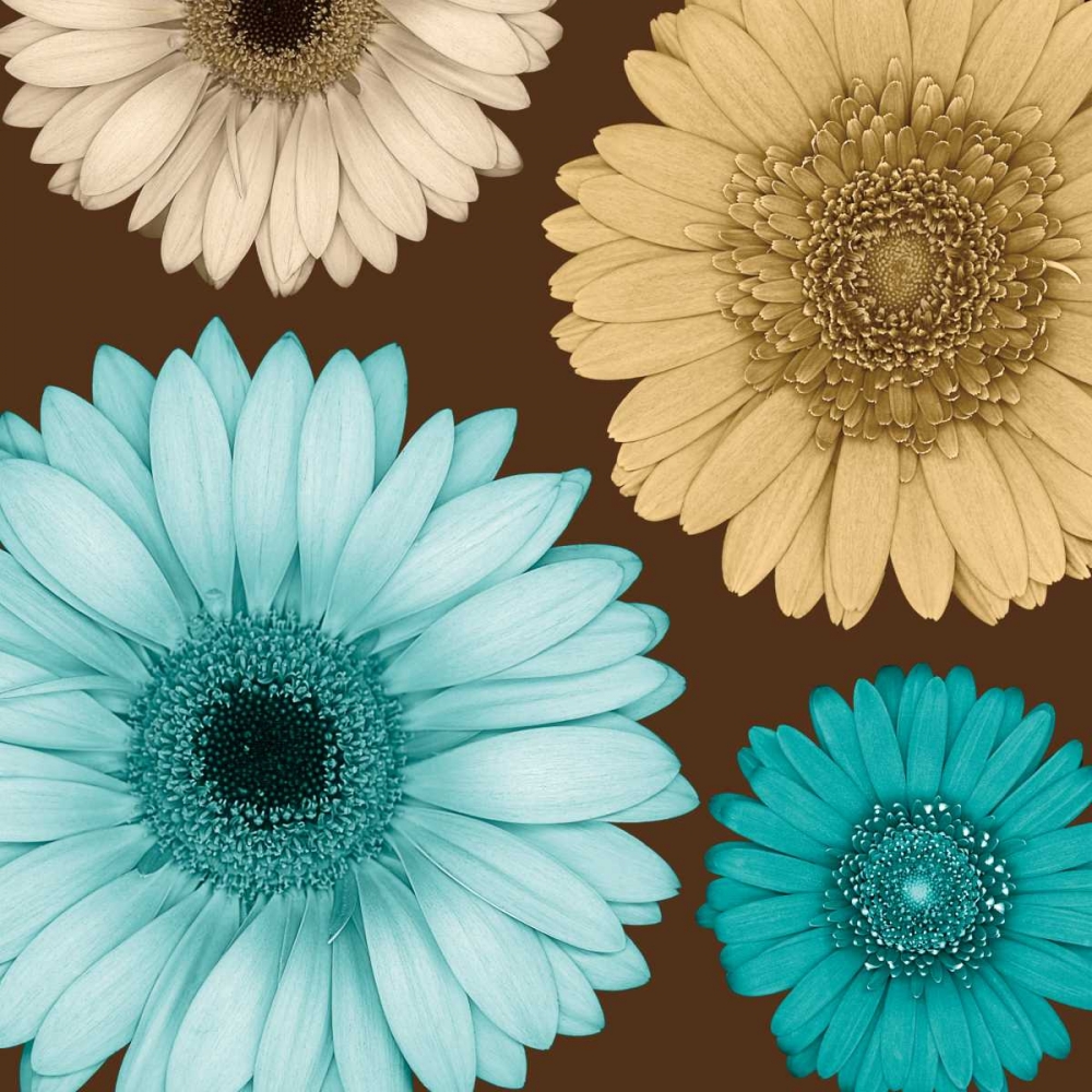 Daisy Quartet I art print by Lindsay Blake for $57.95 CAD