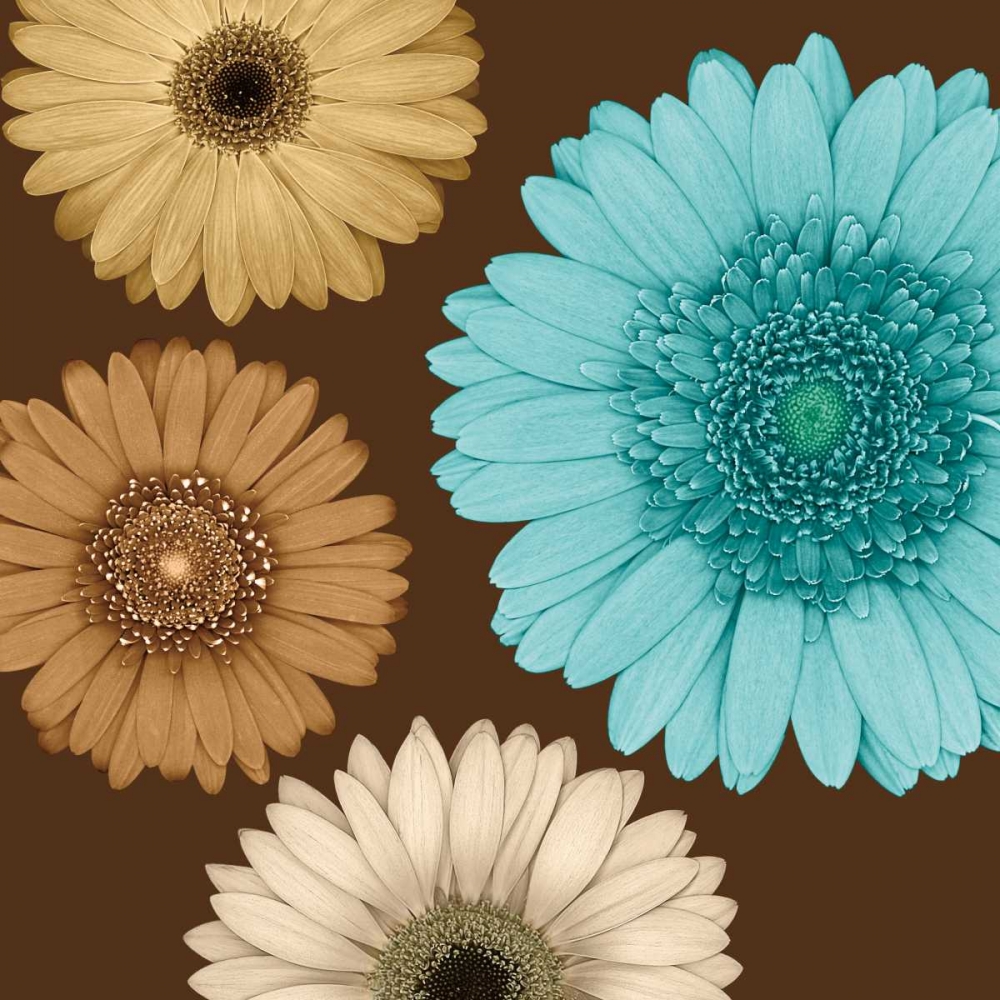 Daisy Quartet II art print by Lindsay Blake for $57.95 CAD