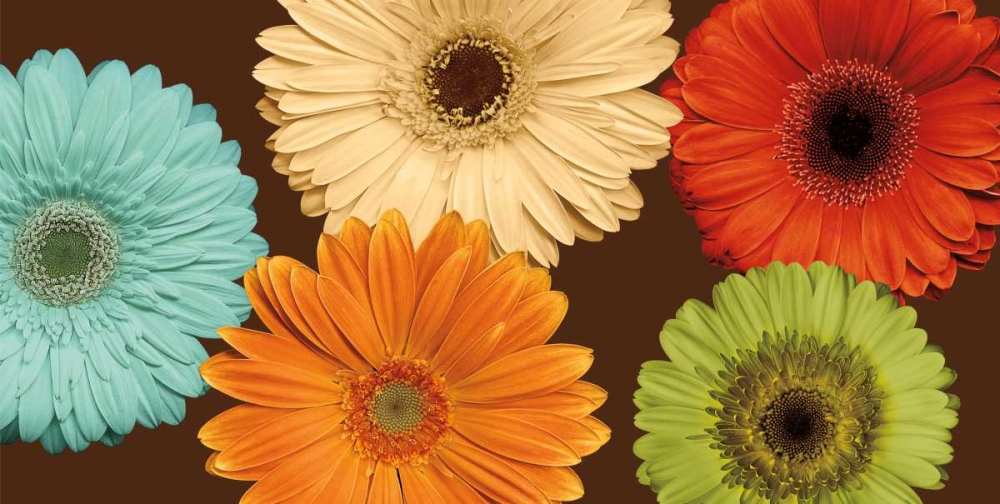 Daisys Friends art print by Lindsay Blake for $57.95 CAD