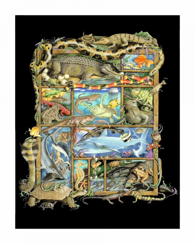 Shadowbox Hunt -Reptiles, Fish art print by Laura Seeley for $57.95 CAD
