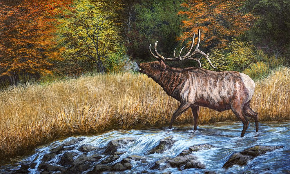 Breaking Silence art print by Linda Sullivan Mataya for $57.95 CAD