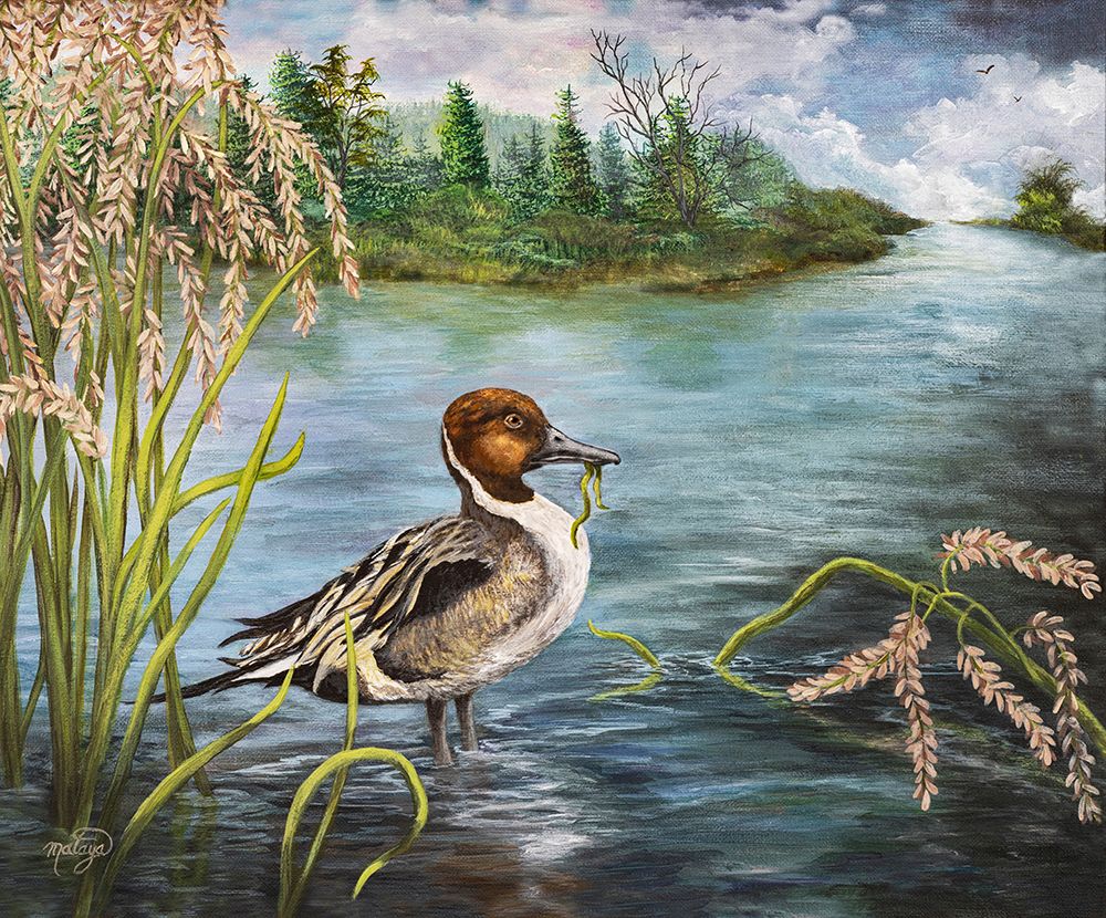 Duck Breakfast art print by Linda Sullivan Mataya for $57.95 CAD
