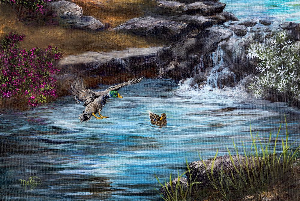 Impressing His Mate art print by Linda Sullivan Mataya for $57.95 CAD