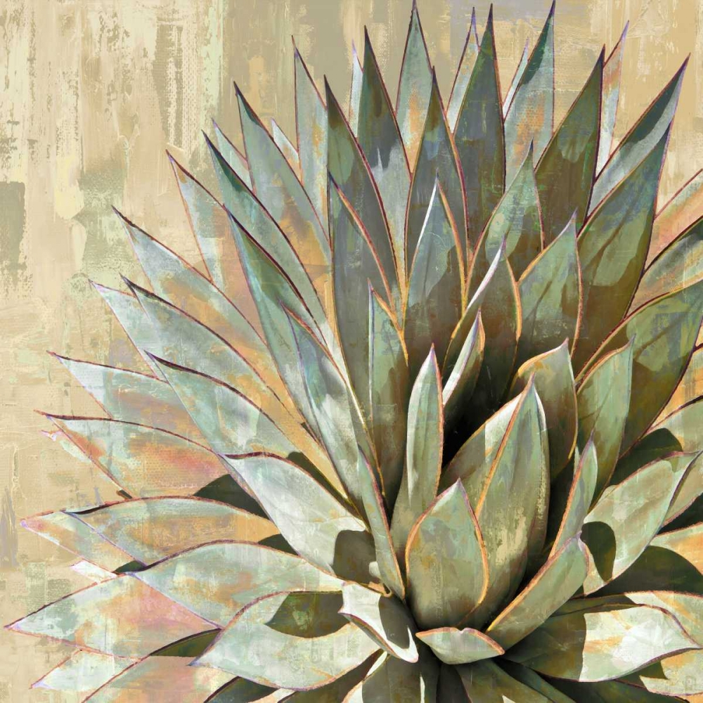 Succulent I art print by Lindsay Benson for $57.95 CAD