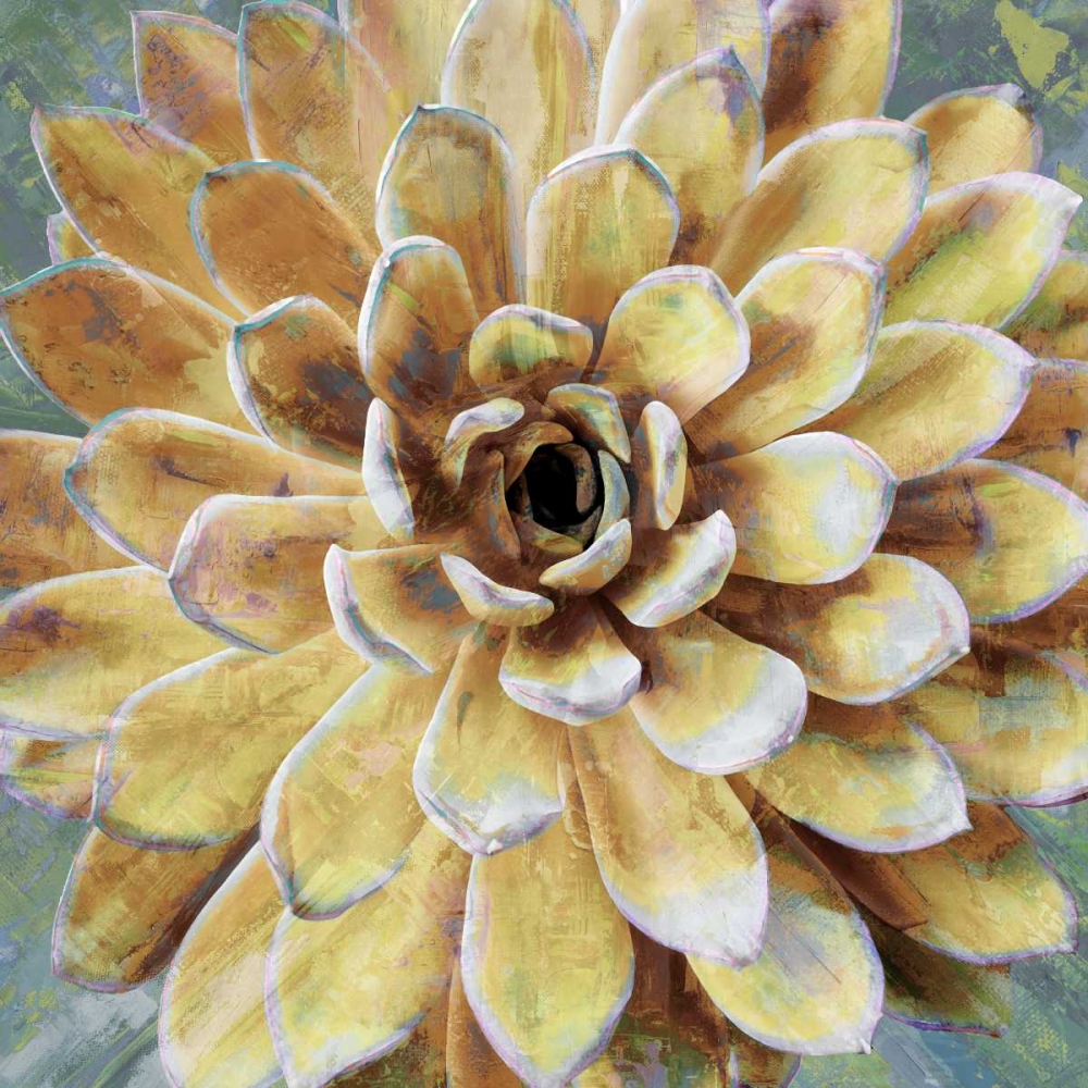 Succulent II art print by Lindsay Benson for $57.95 CAD