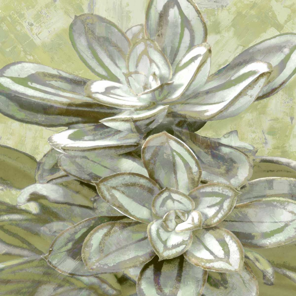 Succulent Verde IV art print by Lindsay Benson for $57.95 CAD