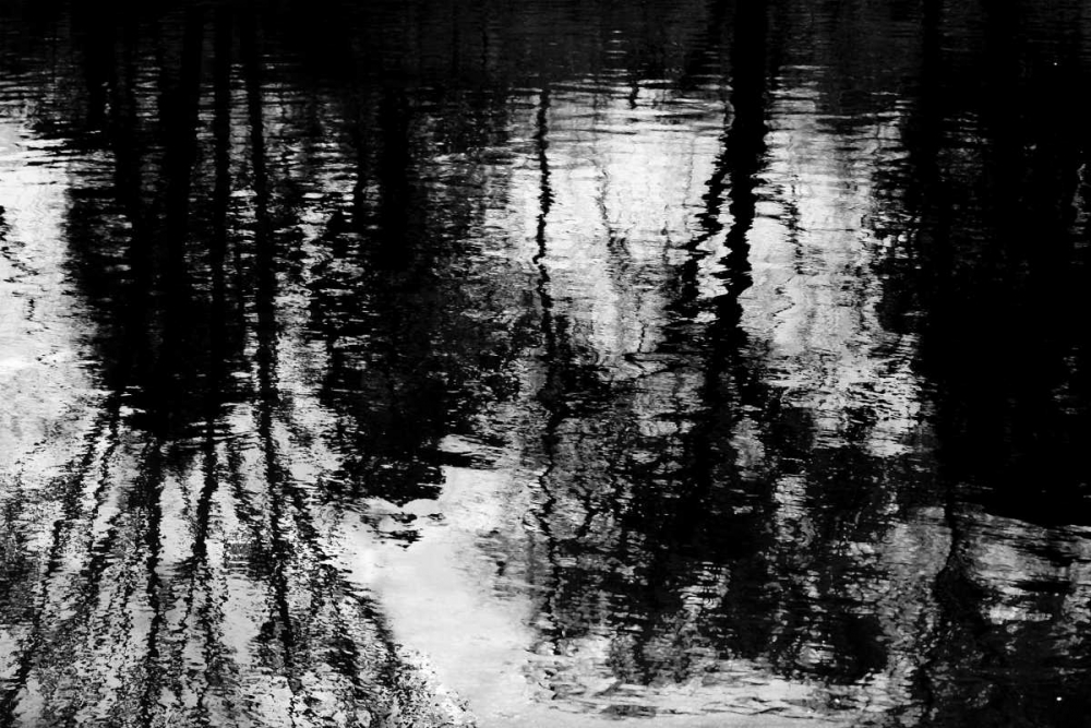 Reflecting art print by Michael Barrett for $57.95 CAD
