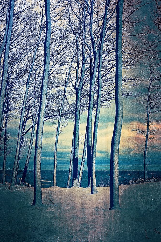 Winter At Lake Michigan art print by Michelle Calkins for $57.95 CAD