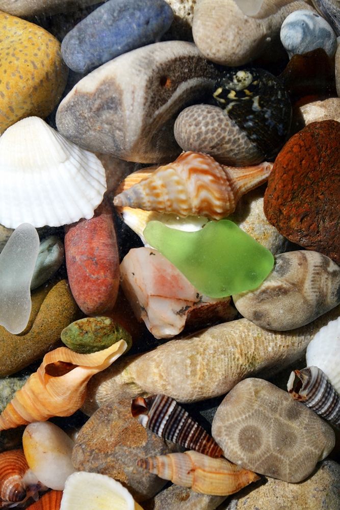 Petoskey Stones I art print by Michelle Calkins for $57.95 CAD