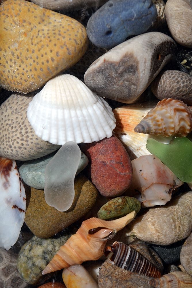 Petoskey Stones IV art print by Michelle Calkins for $57.95 CAD