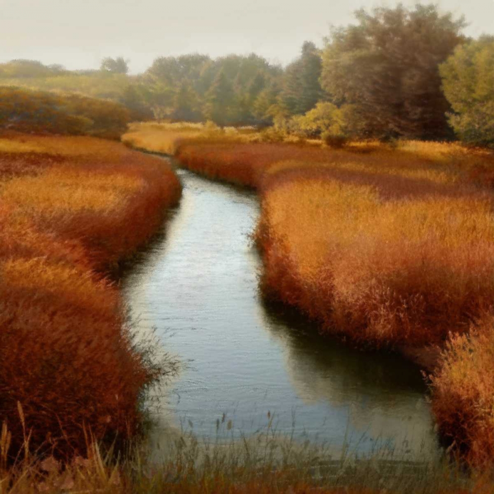 Sunlit Pond I art print by Madeline Clark for $57.95 CAD