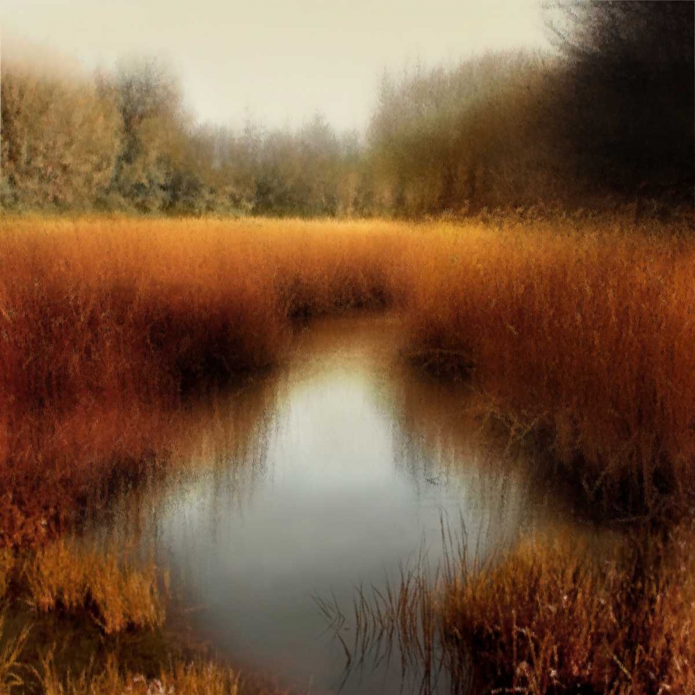 Sunlit Pond II art print by Madeline Clark for $57.95 CAD