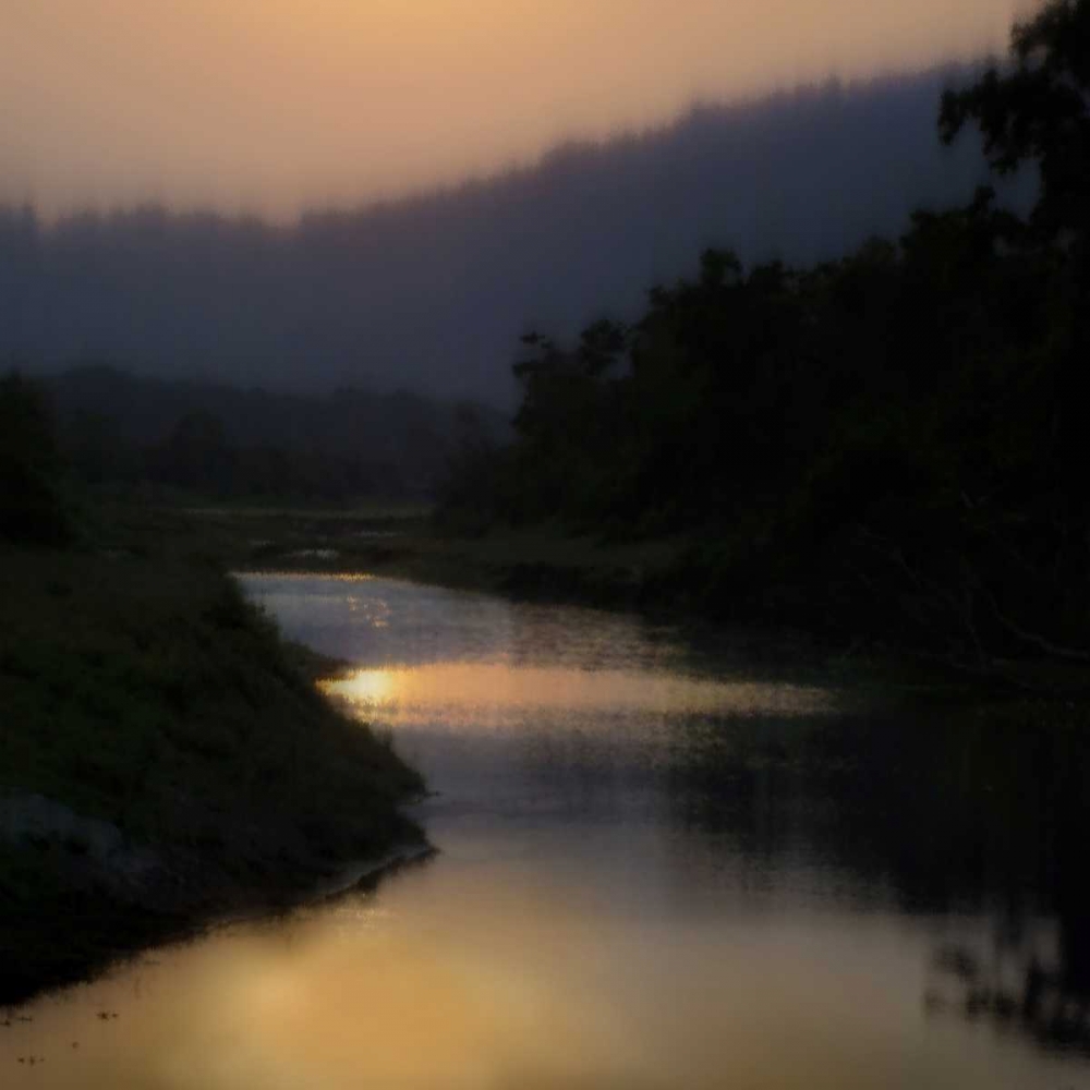 Sunlit River art print by Madeline Clark for $57.95 CAD