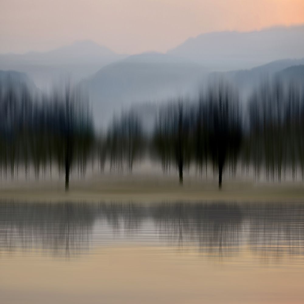 Early Morning IV art print by Madeline Clark for $57.95 CAD